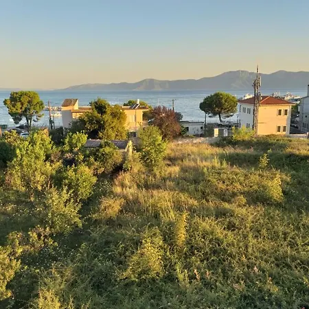 Panorama * Πευκί